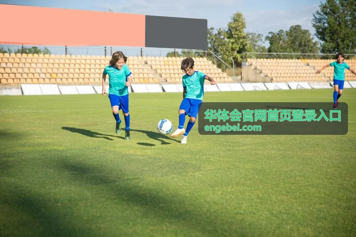 华体会官网首页登录入口账号安全与验证的操作界面示意
