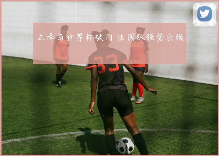 本泽马世界杯破门 法国队强势出线