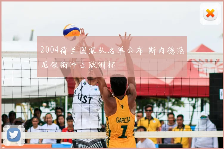 2004荷兰国家队名单公布 斯内德范尼领衔冲击欧洲杯