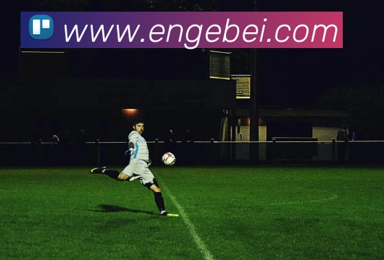 九游j9官网入口老版本APP 高清赛事图